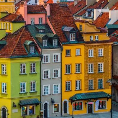 Which Water-based Pigment Dispersion are suited for exterior wall coatings requiring bright and long-lasting colors?
